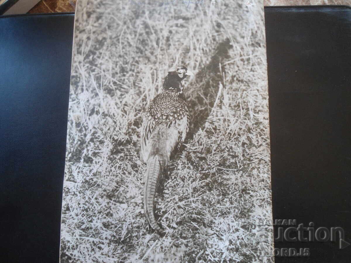 Auction Magazine "HUNTING and FISHING", Issue 1, January 1970 Auction Magazine "HUNTING and FISHING", Issue 1, January 1970