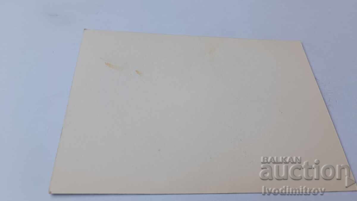 Postcard Frankie Miller (UK) with price 0.85 BGN | € 0.43 Postcard Frankie Miller (UK) with price 0.85 BGN | € 0.43