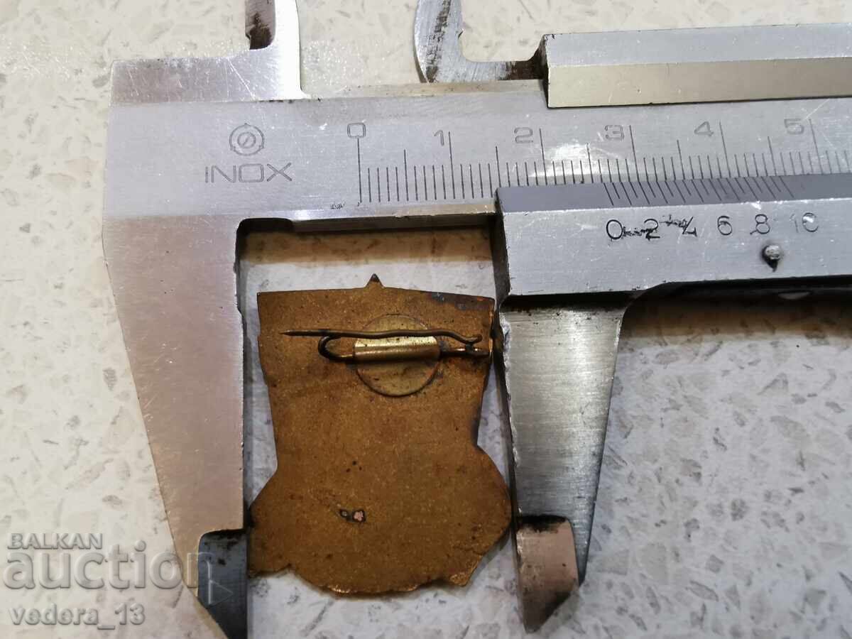 Auction YOUNG ANIMAL BREEDER EXCELLENT Auction YOUNG ANIMAL BREEDER EXCELLENT