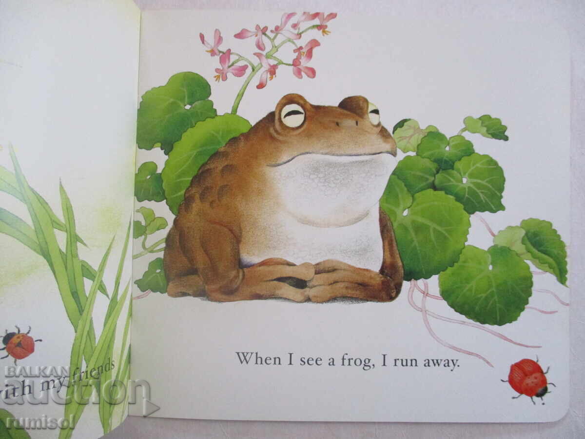 Auction Baby's Storybook 2 - The Ladybird's Day Auction Baby's Storybook 2 - The Ladybird's Day