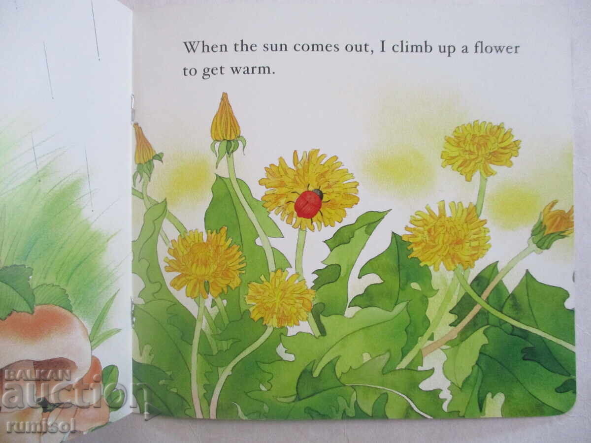 Delivery of Baby's Storybook 2 - The Ladybird's Day Delivery of Baby's Storybook 2 - The Ladybird's Day