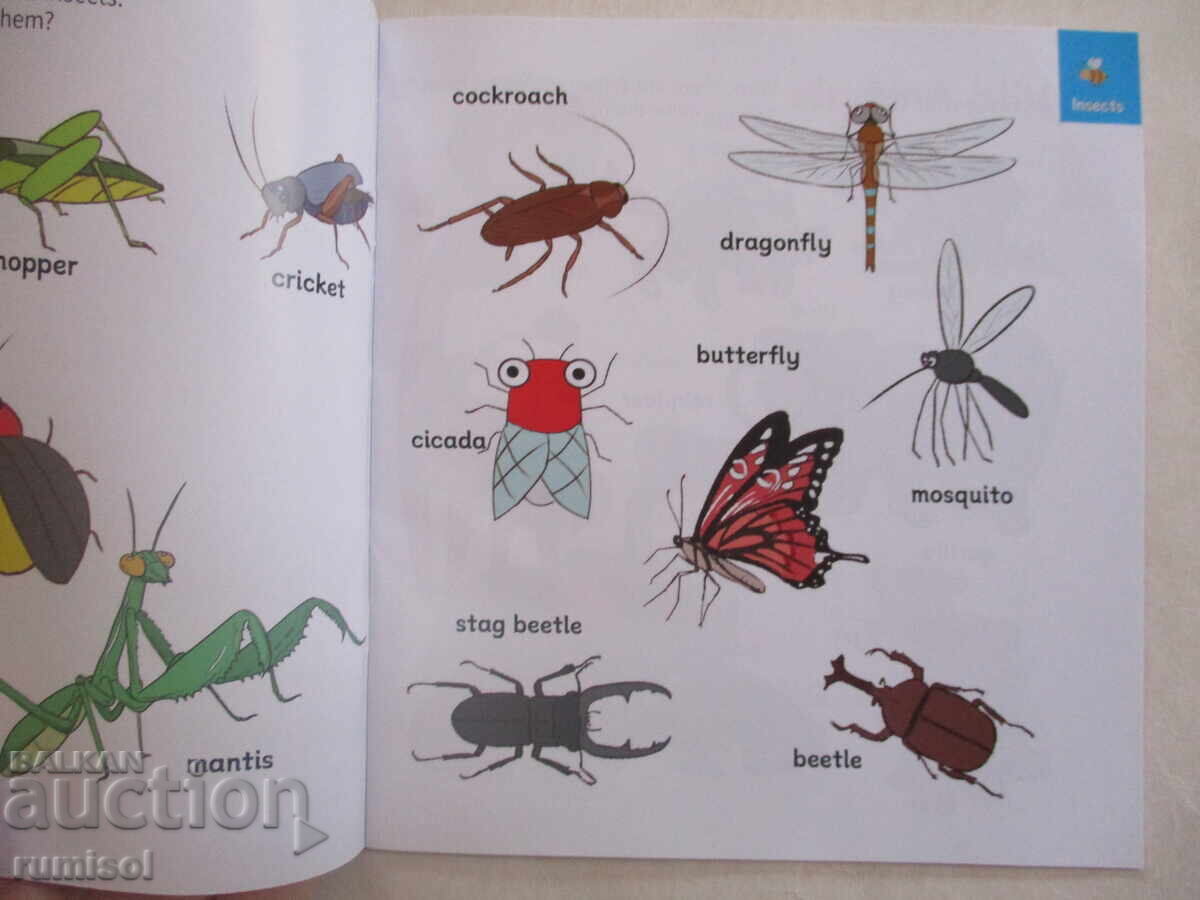 Παιδική Εγκυκλοπαίδεια Ανακαλύψτε τον Κόσμο - 1: Ο Κόσμος των Ζώων με τιμή € 7.19 | 14.06 BGN