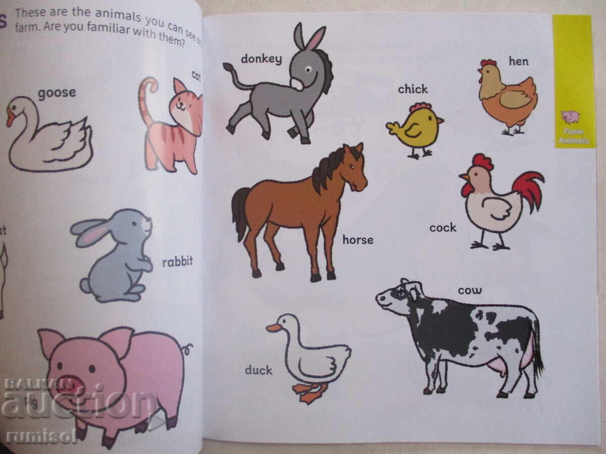 Auction Kids' Encyclopedia Discover the World - 1: Animal World Auction Kids' Encyclopedia Discover the World - 1: Animal World