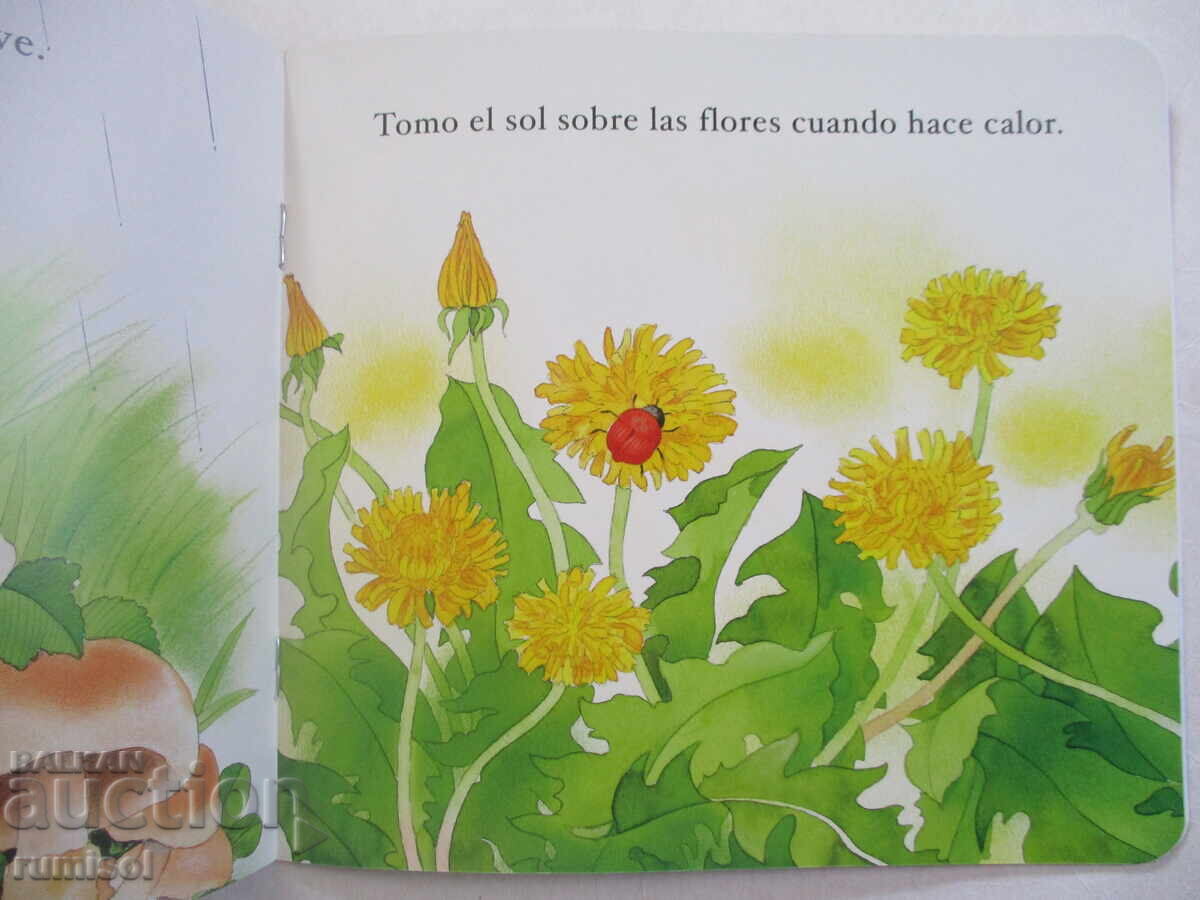 Доставка на Cuentos para niños 2 - Un día de la mariquita Доставка на Cuentos para niños 2 - Un día de la mariquita