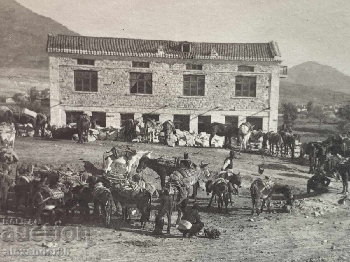 Delivery of Beat and Culture of Southeastern Bulgaria Caravan 30s Delivery of Beat and Culture of Southeastern Bulgaria Caravan 30s