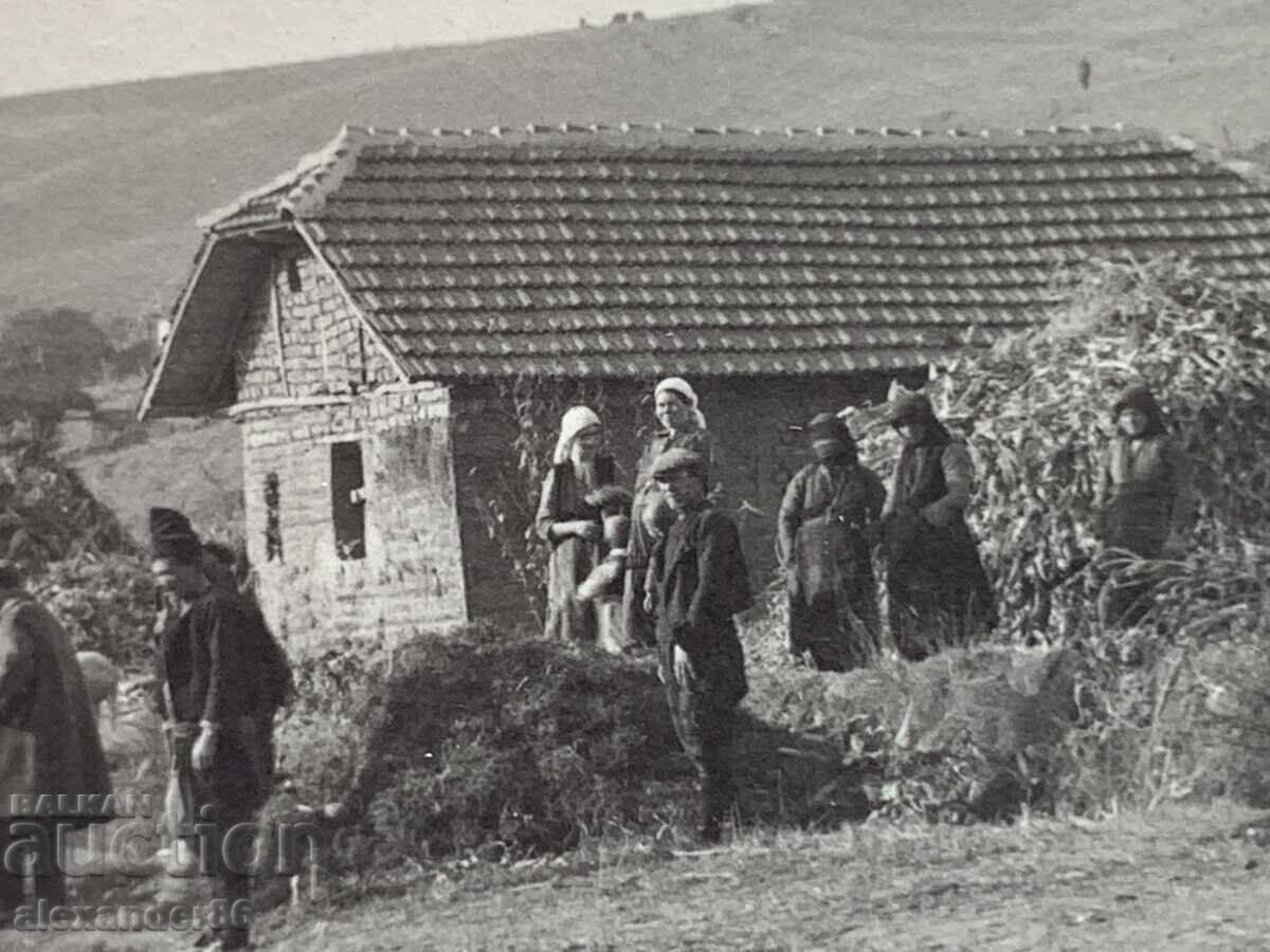 Auction  Beat and Culture Southeastern Bulgaria Commission 30s