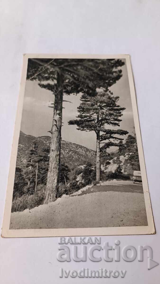 Пощенска картичка Vlore Pamje nga Liogoraja he Zbritje