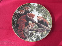 Wall plate, decor, collection