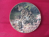 Wall plate, decor, collection
