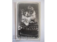 Ημερολόγιο με γατάκι 1990