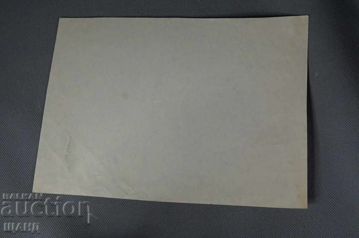 Βασίλ Πέντσεφ σχέδιο καρικατούρα έργο αποτύπωσης της αλήθειας με τιμή 5.00 BGN | € 2.56