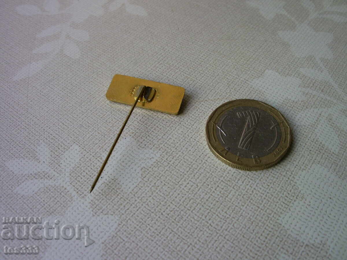 Delivery of TNTM Badge Delivery of TNTM Badge