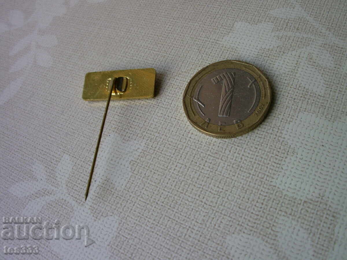 TNTM Badge - 5 TNTM Badge - 5