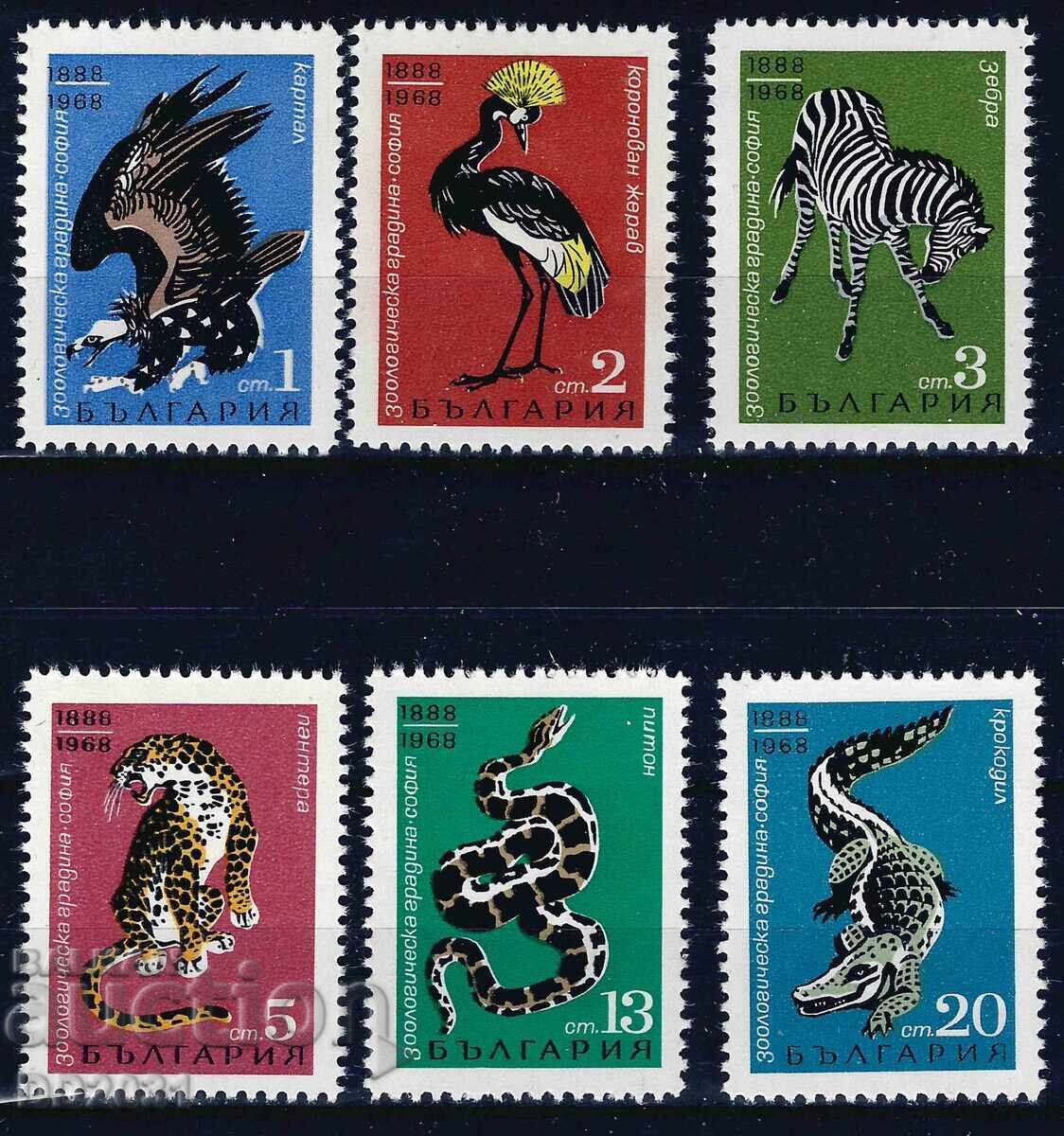 Bulgaria 1968 - Fauna MNH