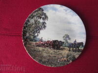 Wall plate, decor, collection