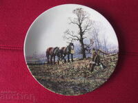 Wall plate, decor, collection