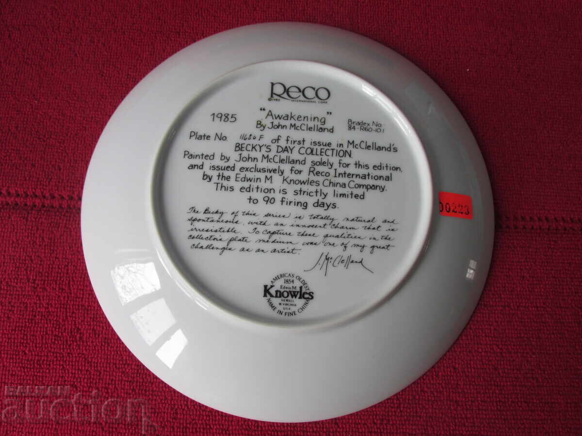 Auction Wall plate, decor, collection Auction Wall plate, decor, collection