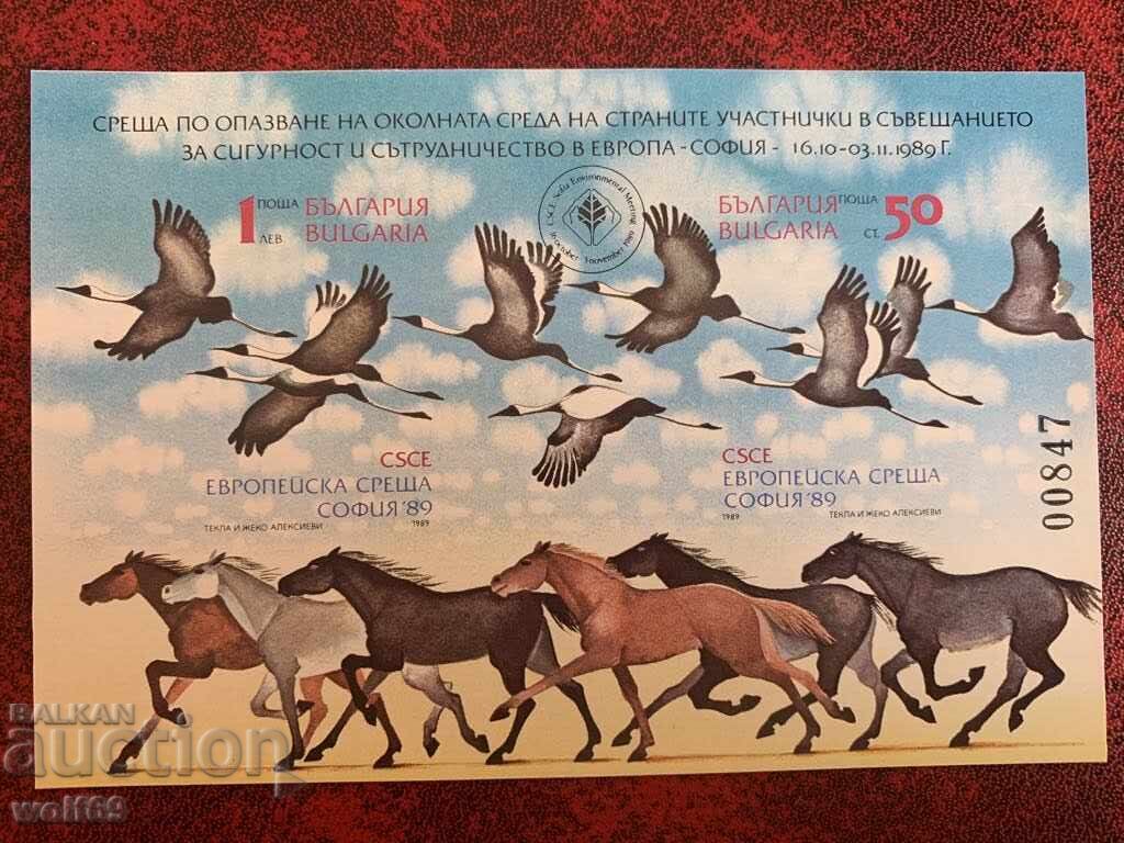 Μπλοκ, γραμματόσημα - Προστασία περιβάλλοντος - Σόφια (ανώνυμο) - 1989