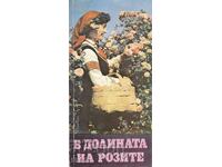 Στην κοιλάδα των ρόδων