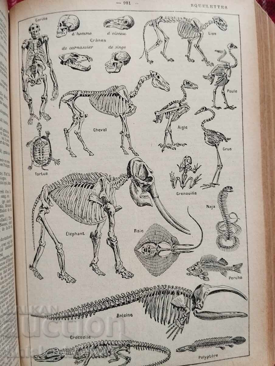 New Illustrated Petit Larousse 1929 - 5 New Illustrated Petit Larousse 1929 - 5