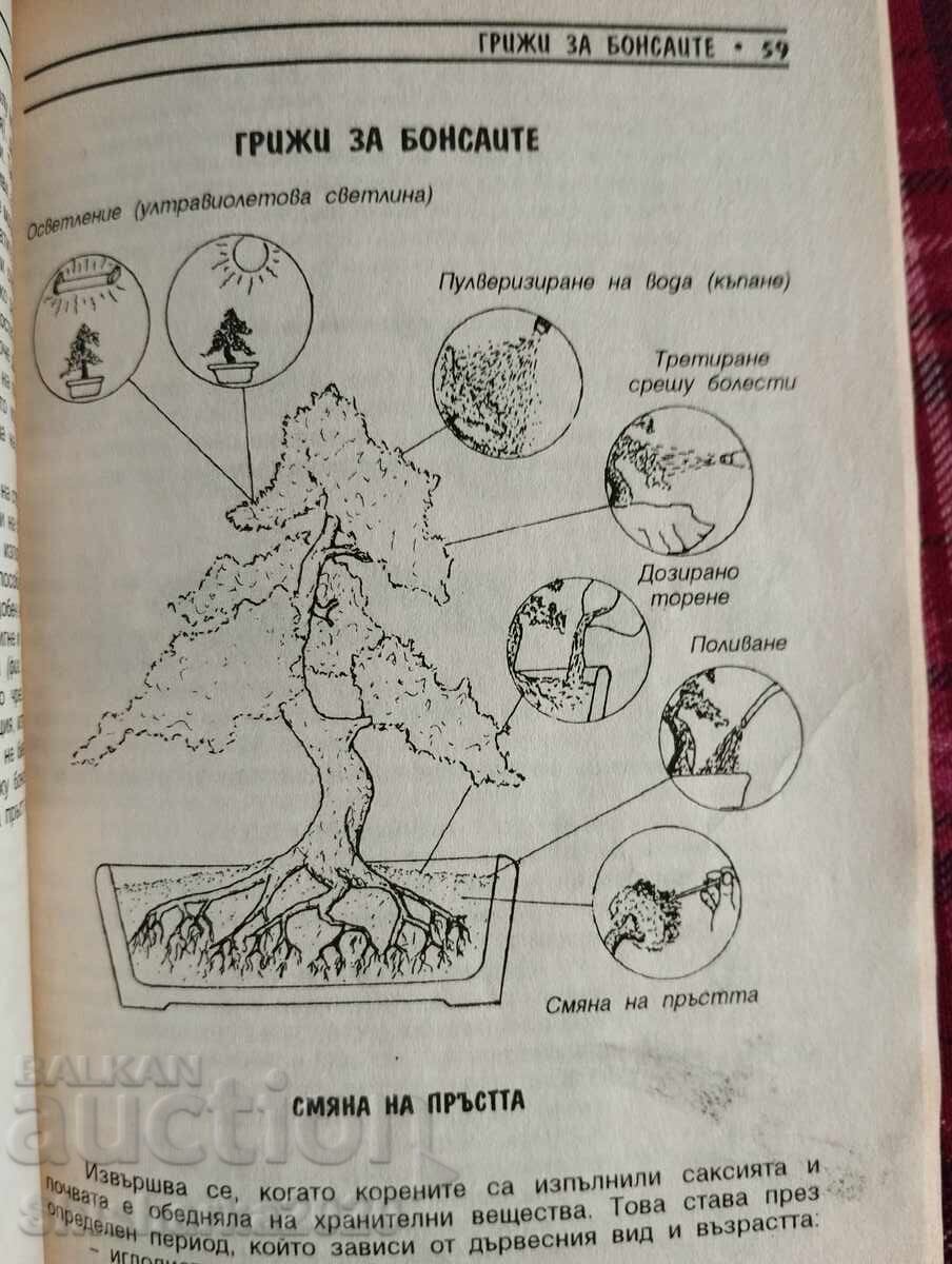 Bonsai with price 9.00 BGN | € 4.60 Bonsai with price 9.00 BGN | € 4.60