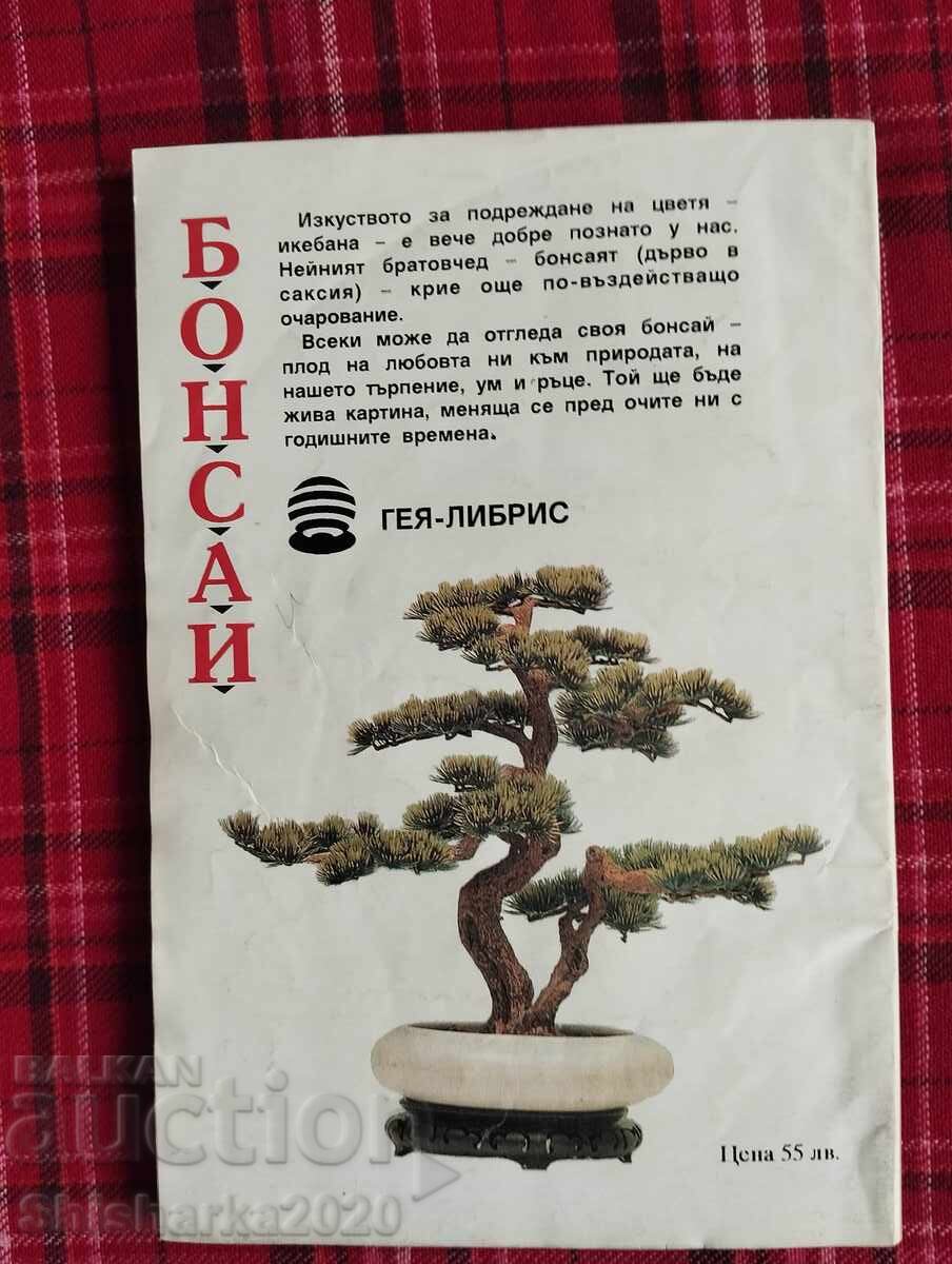 Auction Bonsai Auction Bonsai