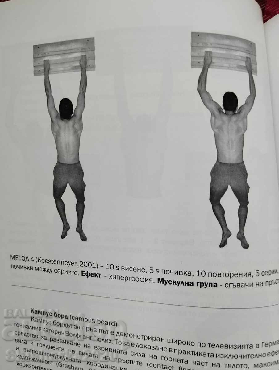 Παράδοση Βασικές αρχές της προπόνησης φυσικής κατάστασης στην αναρρίχηση Παράδοση Βασικές αρχές της προπόνησης φυσικής κατάστασης στην αναρρίχηση