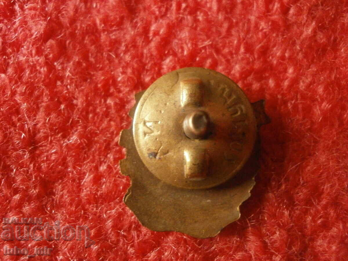 OLD BADGE ON SCREW - SOCIAL - ENAMEL with price 8.00 BGN | € 4.09 OLD BADGE ON SCREW - SOCIAL - ENAMEL with price 8.00 BGN | € 4.09
