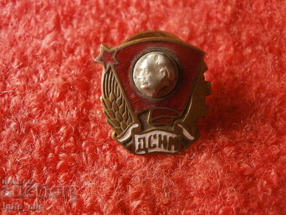 OLD BADGE ON SCREW - SOCIAL - ENAMEL OLD BADGE ON SCREW - SOCIAL - ENAMEL