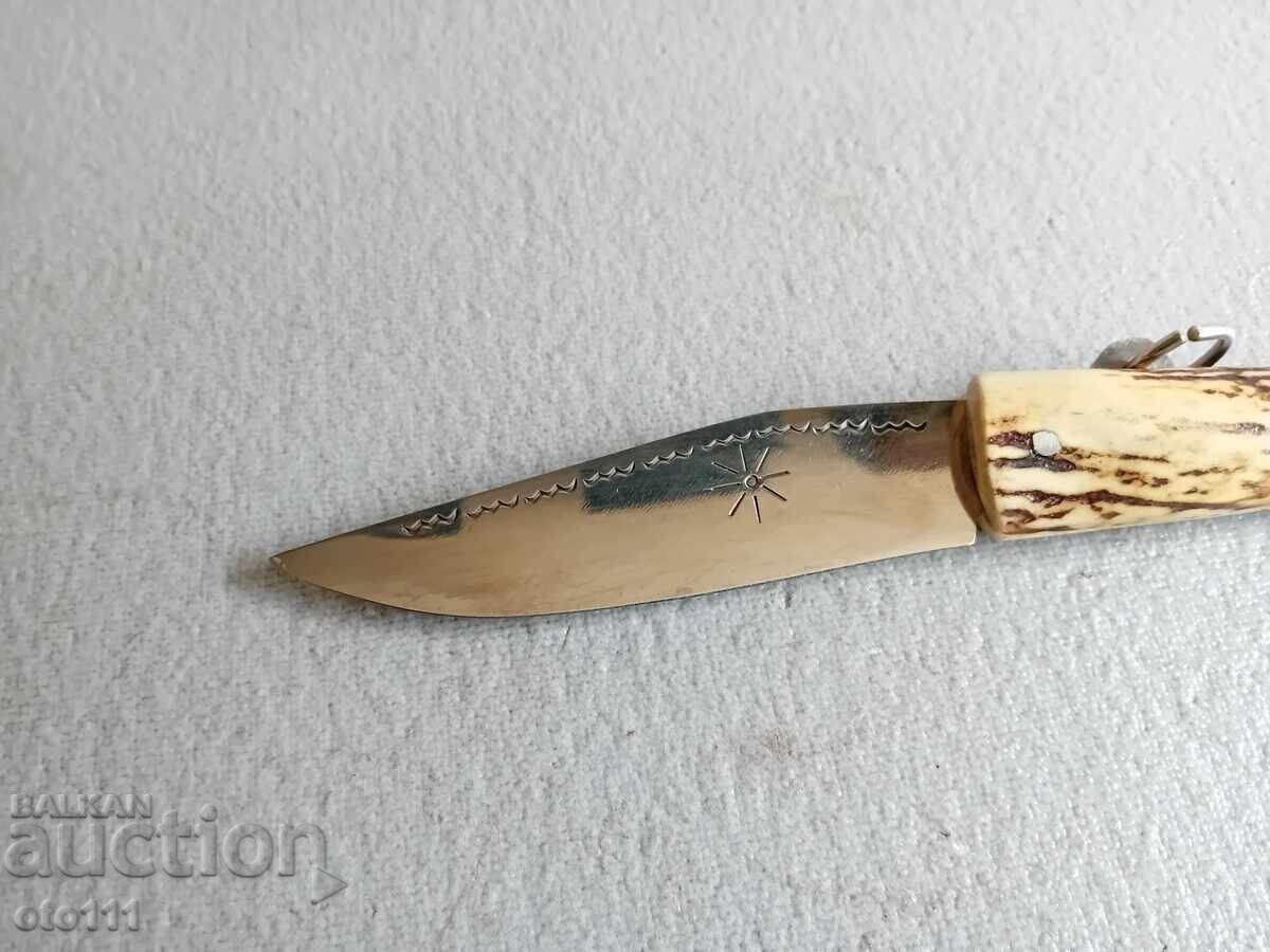 Licitație BIBAN DE CUȚIT VECHI, GAIA, CORN Licitație BIBAN DE CUȚIT VECHI, GAIA, CORN