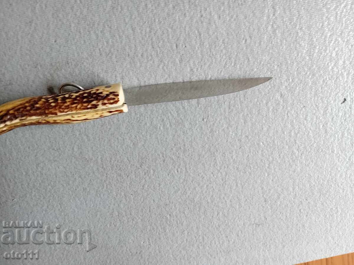 OLD KNIFE PERCH, JAY, HORN - 5