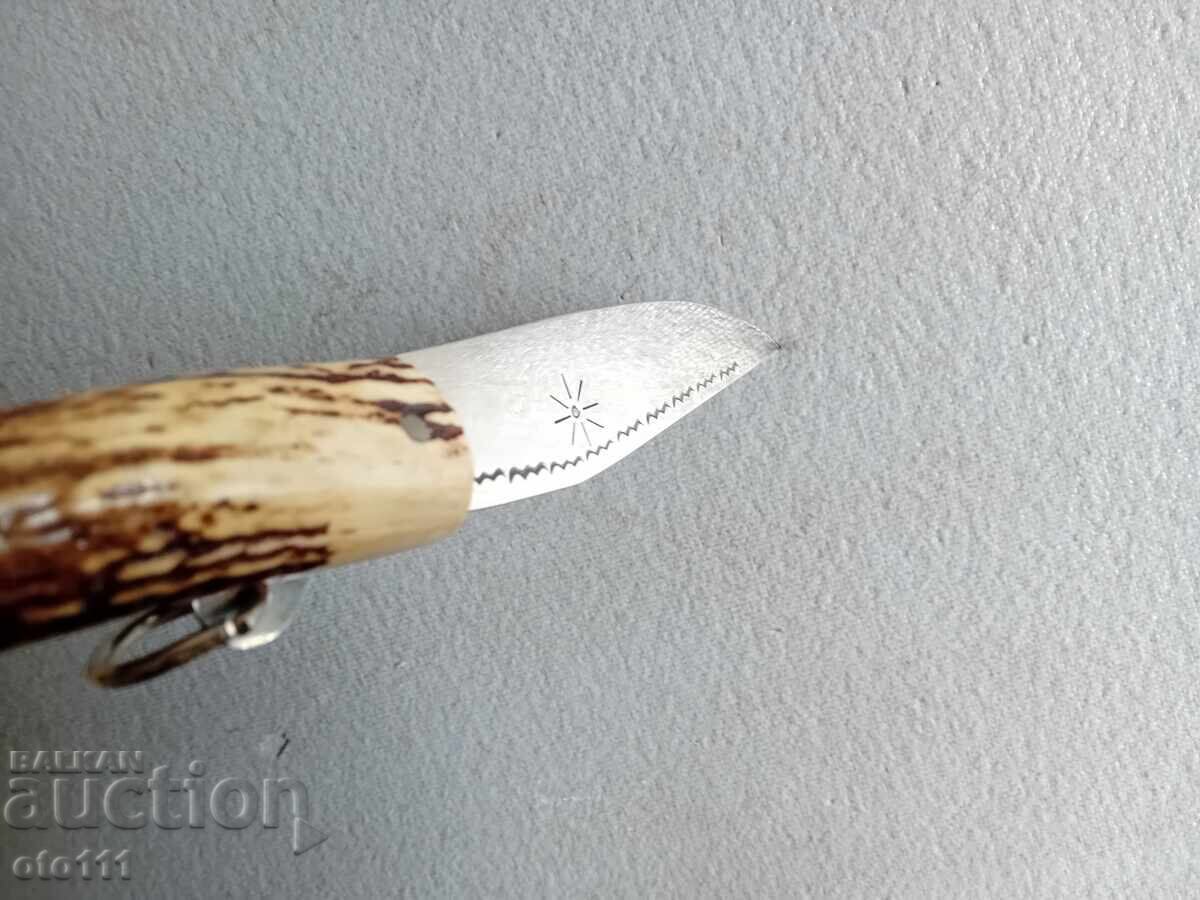 OLD KNIFE PERCH, JAY, HORN - 6