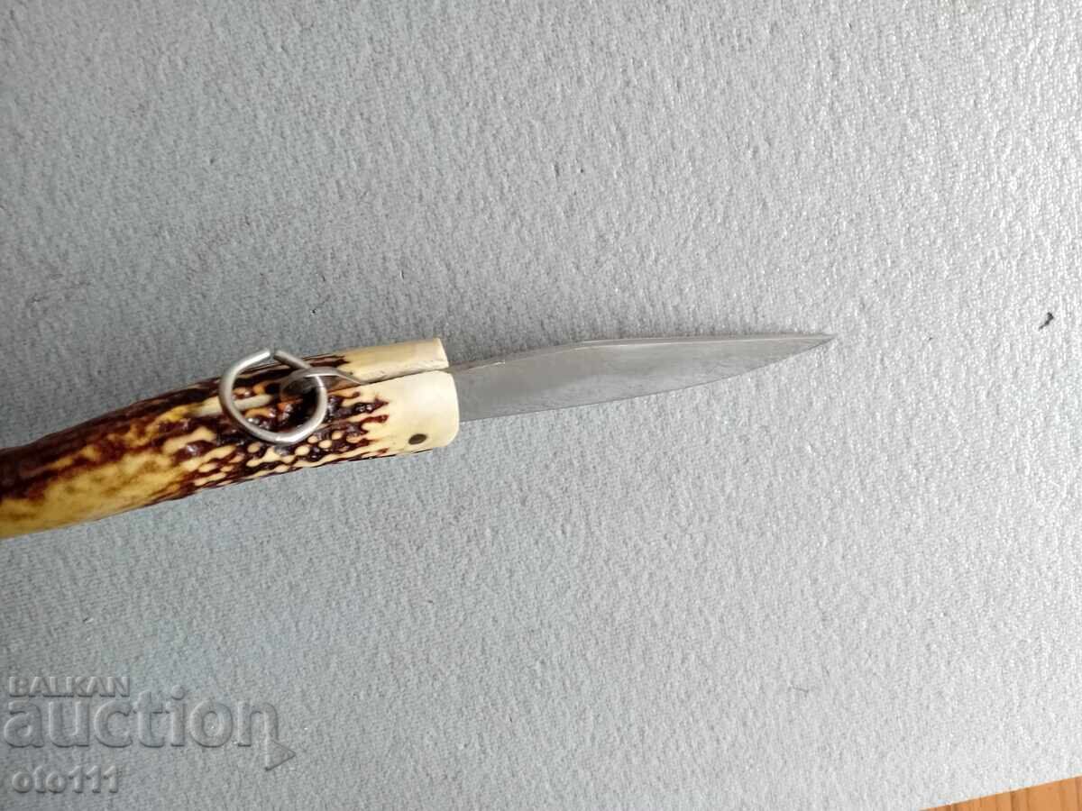 OLD KNIFE PERCH, JAY, HORN - 7