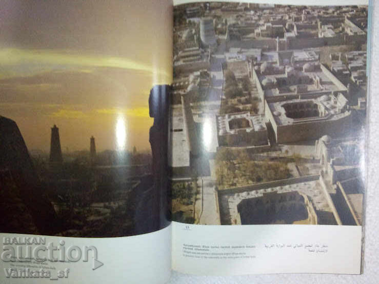 Delivery of Khiva / Khiva - Liya Mankovskaya