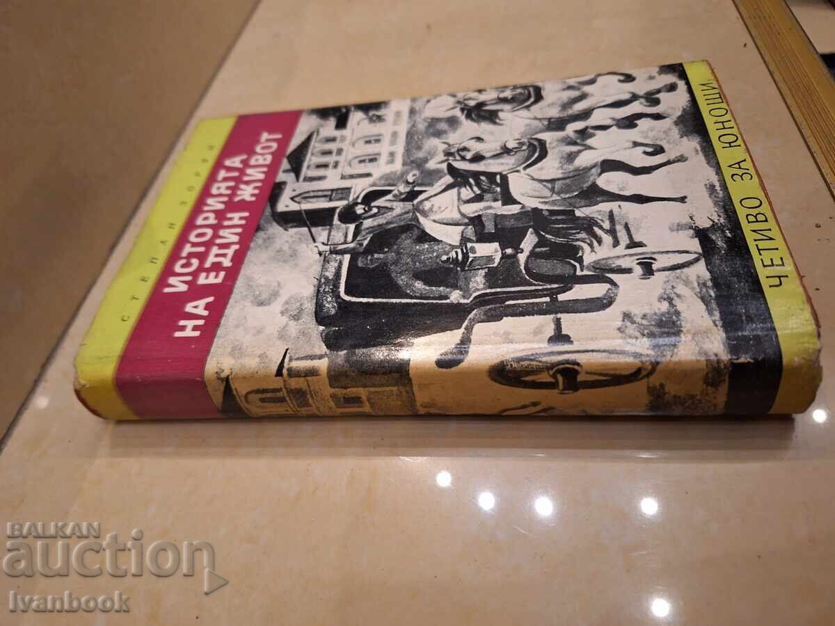 B- ka Lectură pentru adolescenți - Istoria unei vieți cu preț 2.00 BGN | € 1.02
