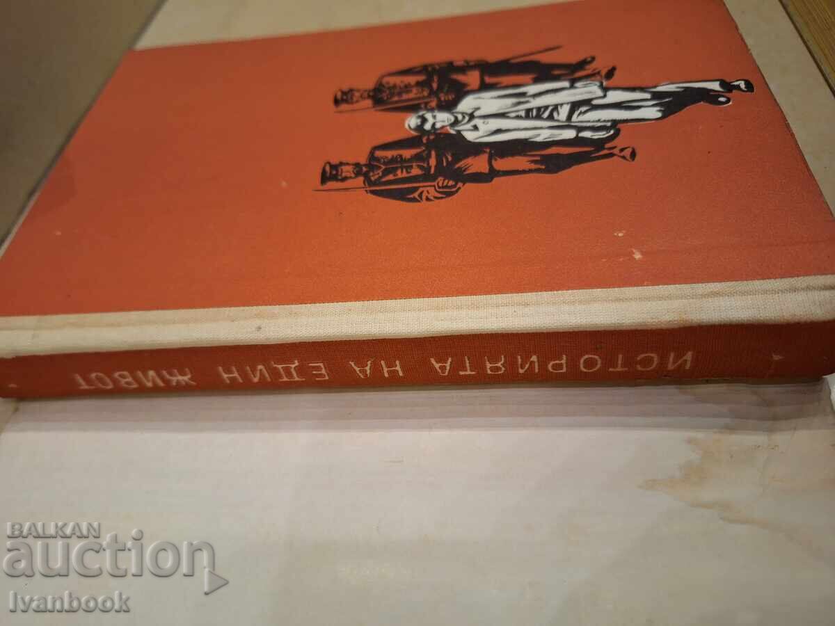 Licitație B- ka Lectură pentru adolescenți - Istoria unei vieți