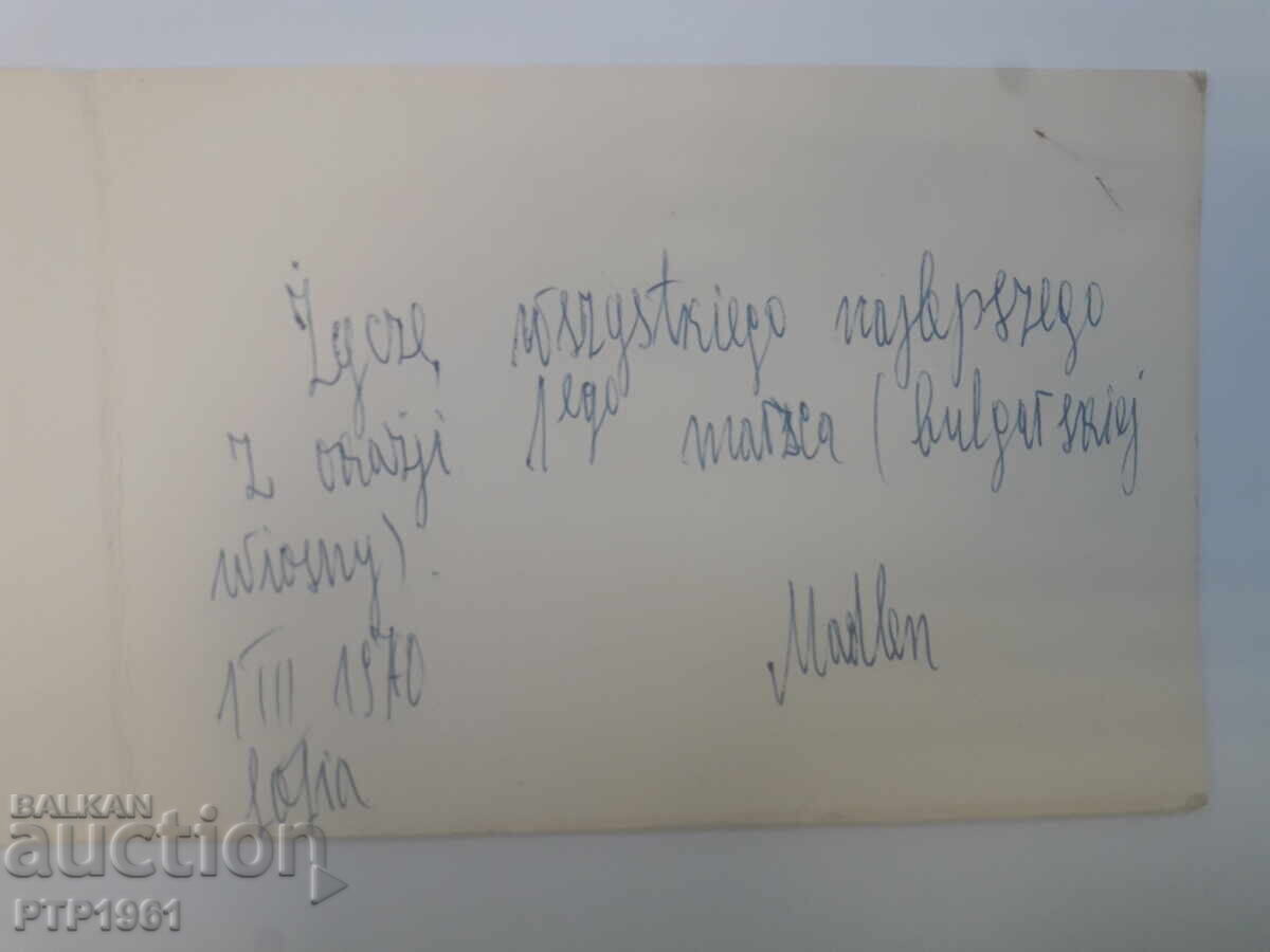 Licitație felicitare