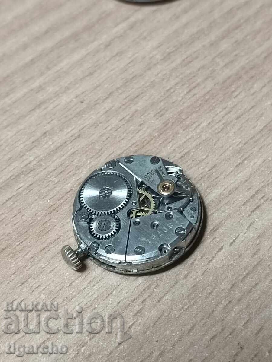 Delivery of PRIM Men's Watch Winder Delivery of PRIM Men's Watch Winder