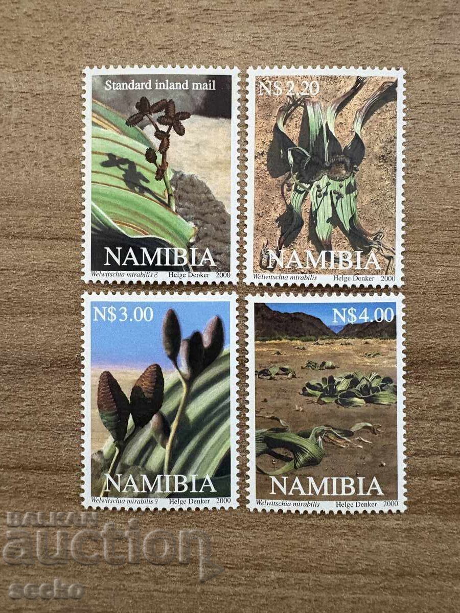 Ναμίμπια - Welwitschia mirabilis, prehistoric p (2000) MNH
