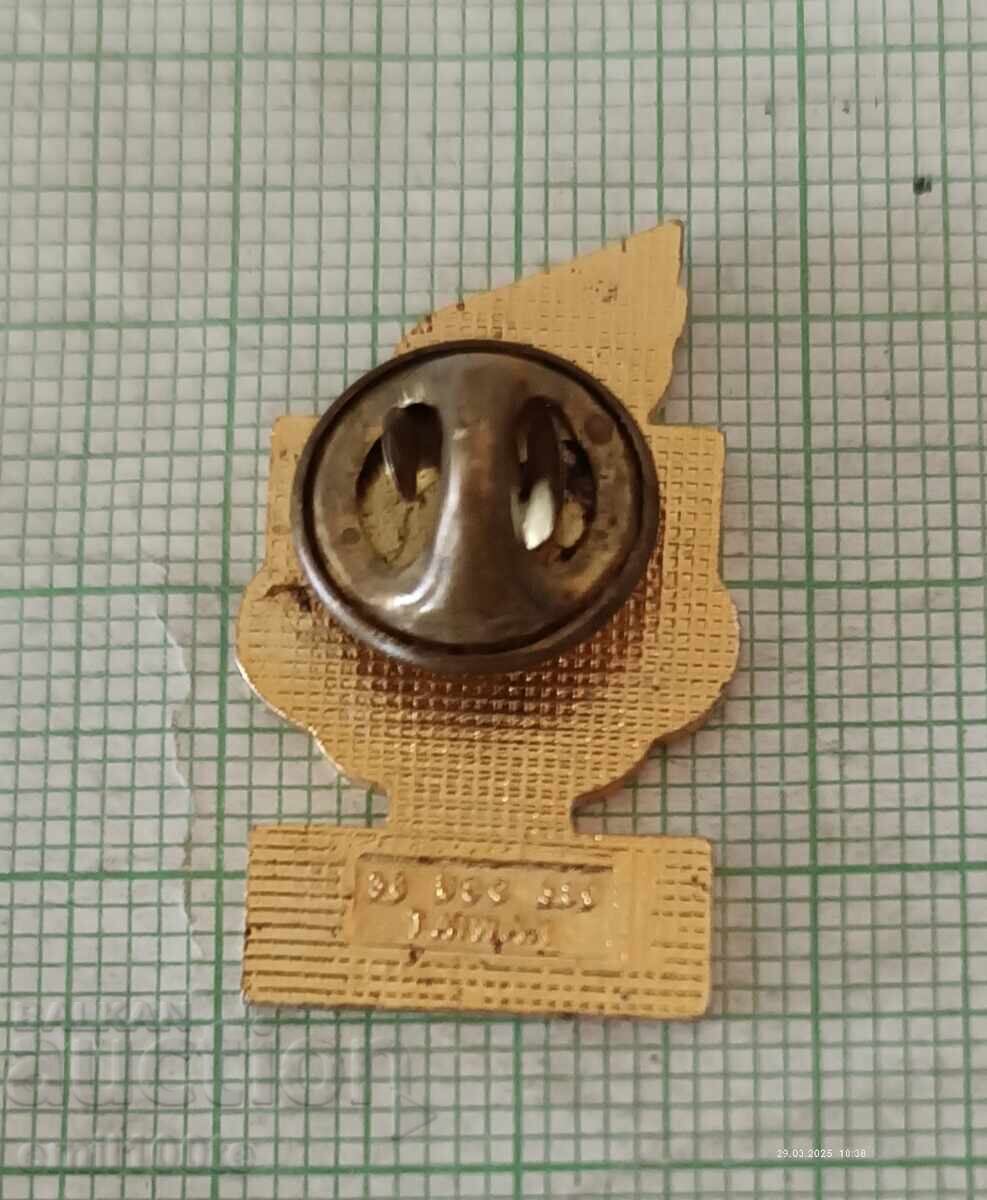 Delivery of Badge - Olympics USA - Advertisement Delivery of Badge - Olympics USA - Advertisement