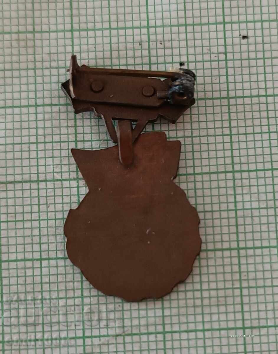 Delivery of Badge PPOV Czechoslovakia - Our GTO Ready for Labor and Defense Delivery of Badge PPOV Czechoslovakia - Our GTO Ready for Labor and Defense