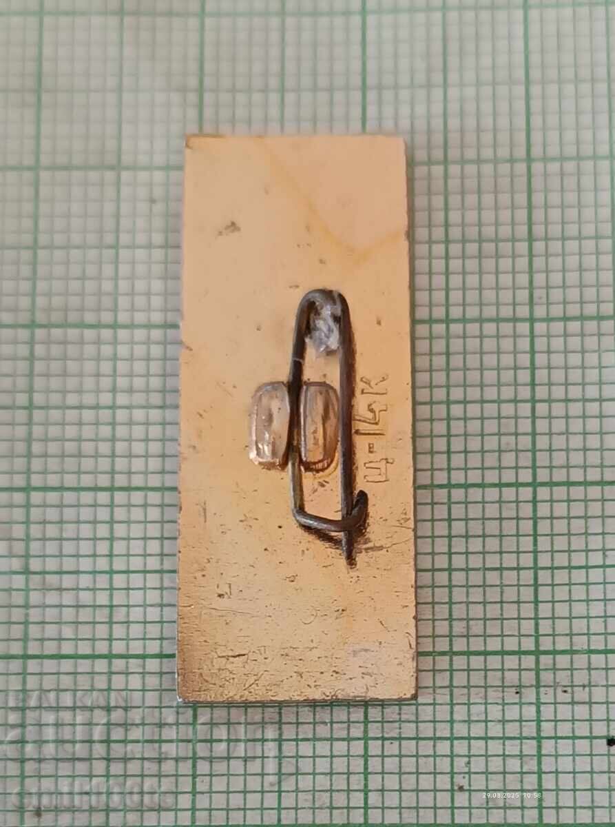 Livrarea Emblemă - Aviație avion Adler Livrarea Emblemă - Aviație avion Adler