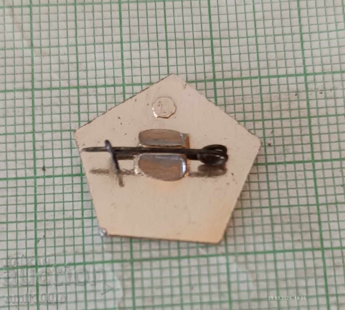 Доставка на Значка- 25 години Аерогеология СССР