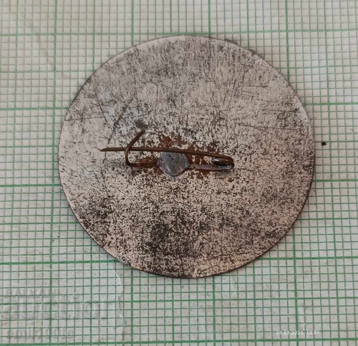 Delivery of Badge - Conference of Aeroergonomics Kyiv 1974 Delivery of Badge - Conference of Aeroergonomics Kyiv 1974