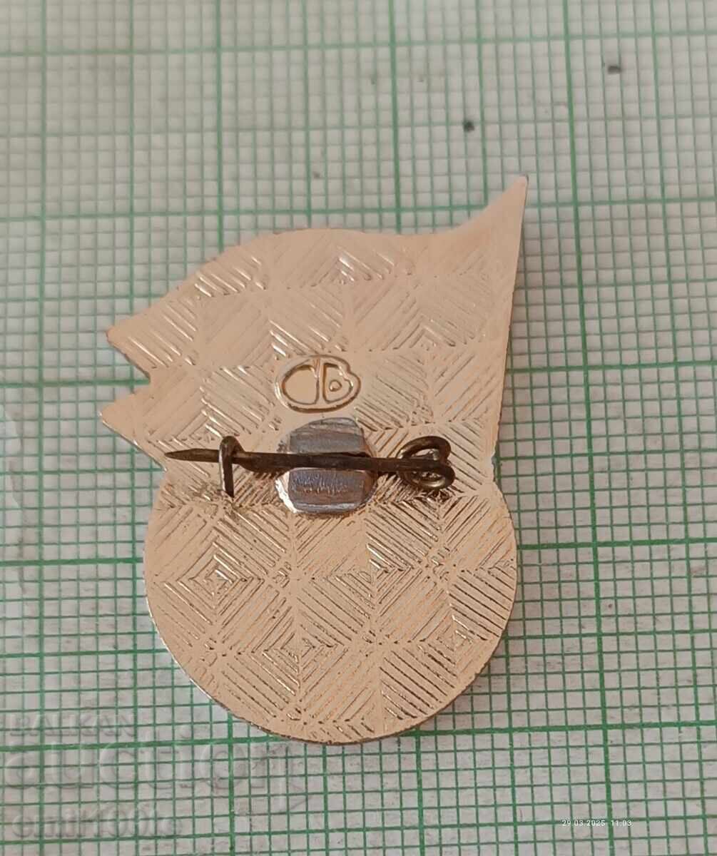 Delivery of Badge - Esperanto Volgograd USSR MEM Volgograd Delivery of Badge - Esperanto Volgograd USSR MEM Volgograd