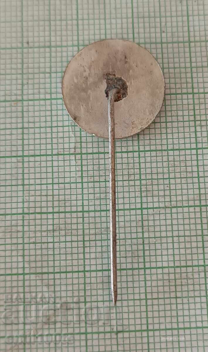 Livrarea Insigna - Nikola Vaptsarov