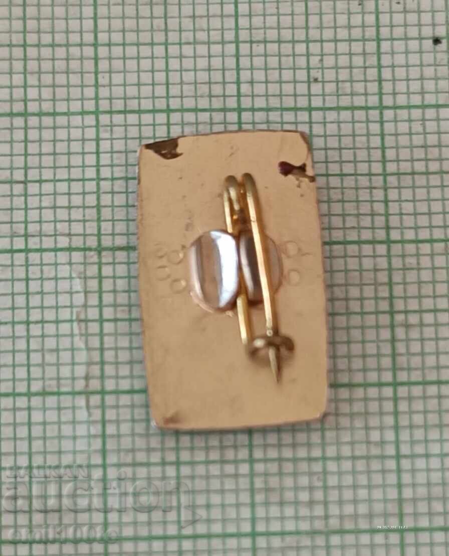 Insigna - Yane Sandanski - 5 Insigna - Yane Sandanski - 5