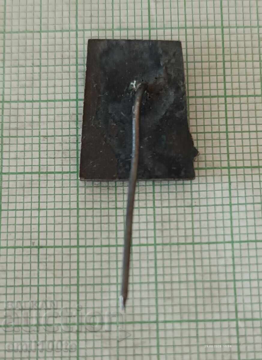 Delivery of Badge - Aleko Konstantinov Delivery of Badge - Aleko Konstantinov