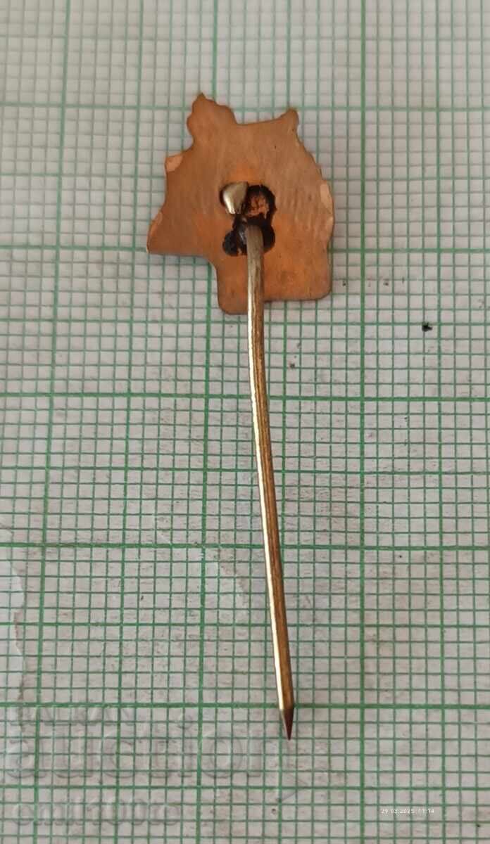 Значка- ПБГТО - 5