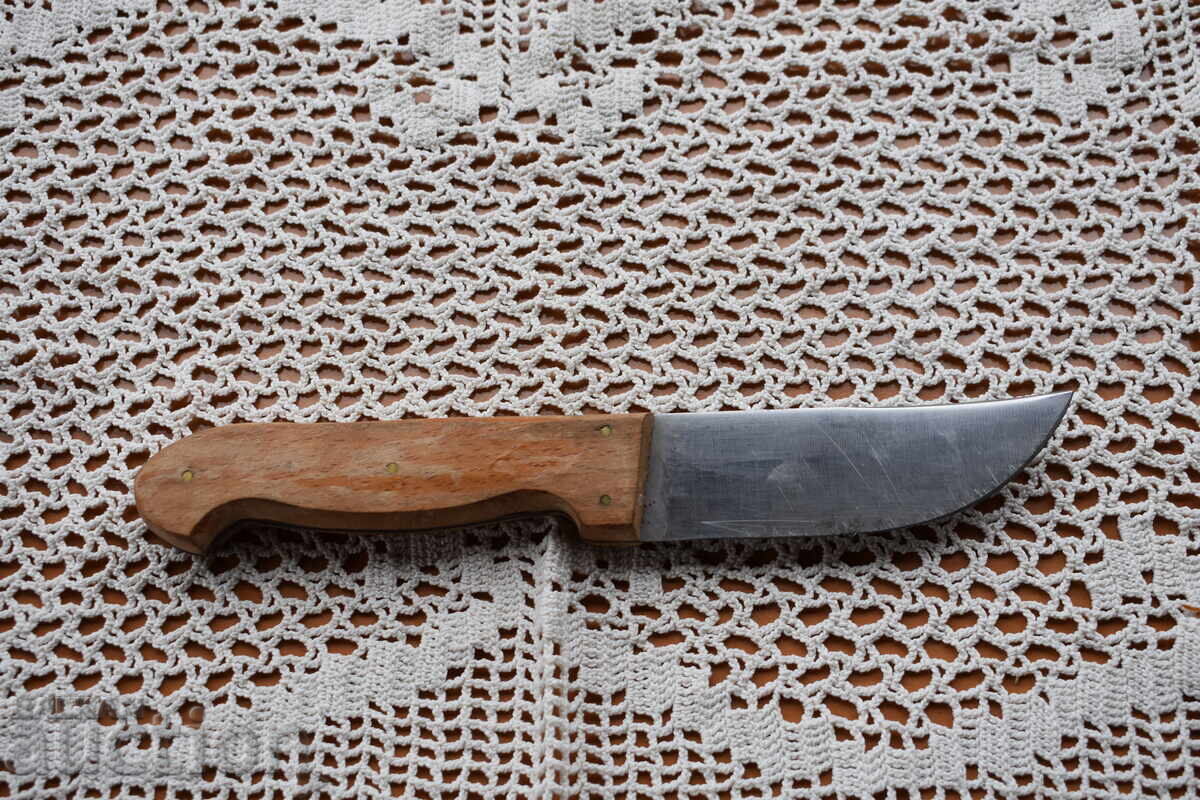 Auction  Terna Skinning Knife